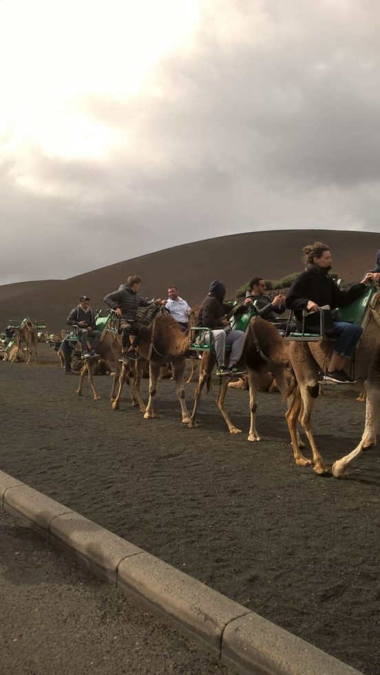 2017-02-01-PHOTO-00000335